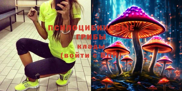 бошки Алзамай