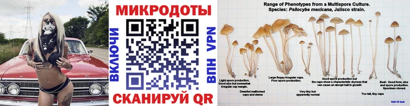 Галлюциногенные грибы Magic Shrooms  хочу наркоту  Тутаев 