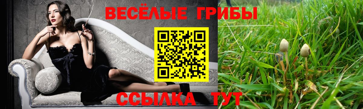 Галлюциногенные грибы мицелий Тутаев